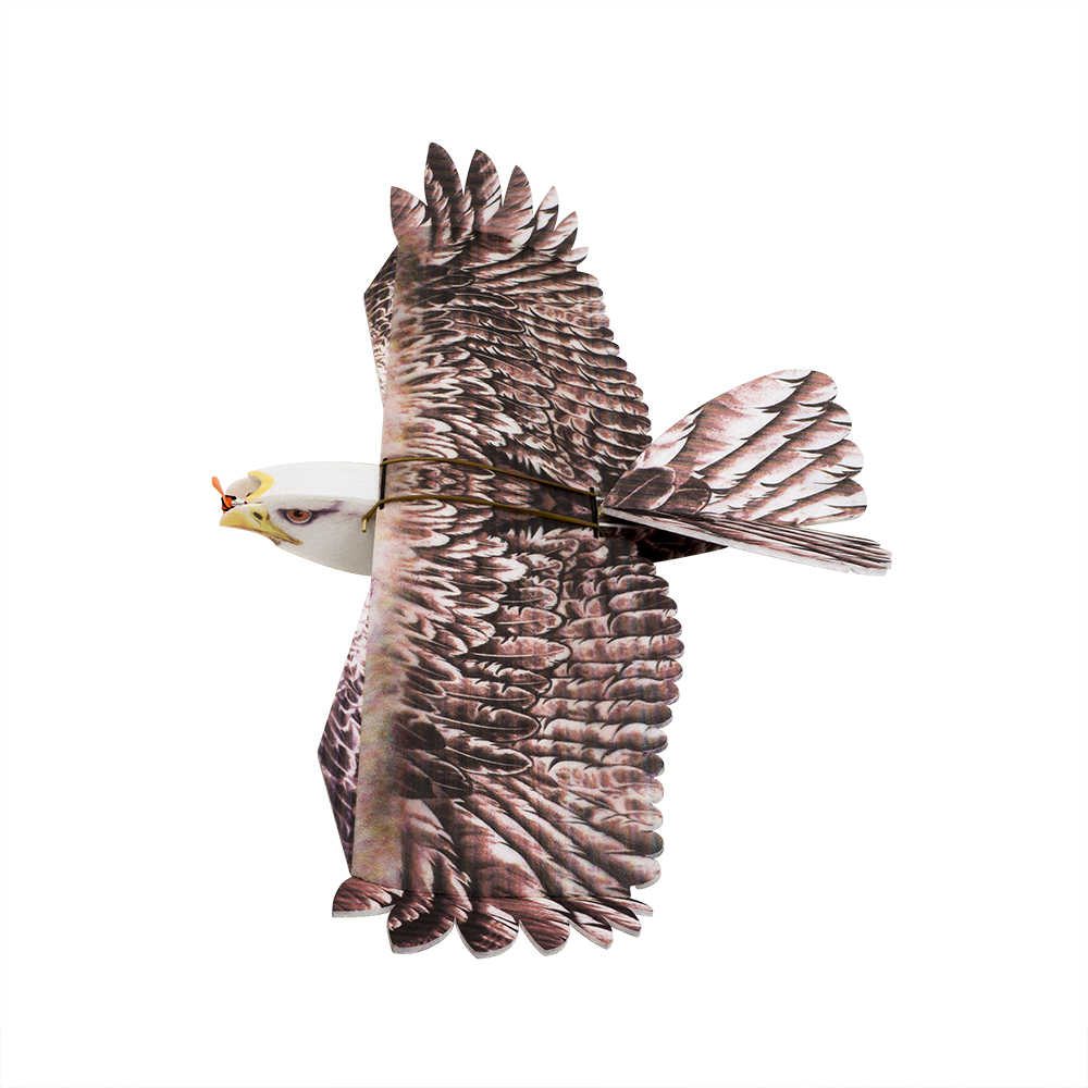 DWホビー イーグルII EPP飛行機 RC飛行機キット フ - Rc Hobby Online のレビューと価格