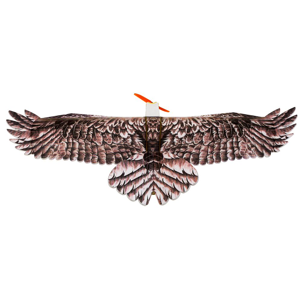 DWホビー イーグルII EPP飛行機 RC飛行機キット フ - Rc Hobby Online のレビューと価格
